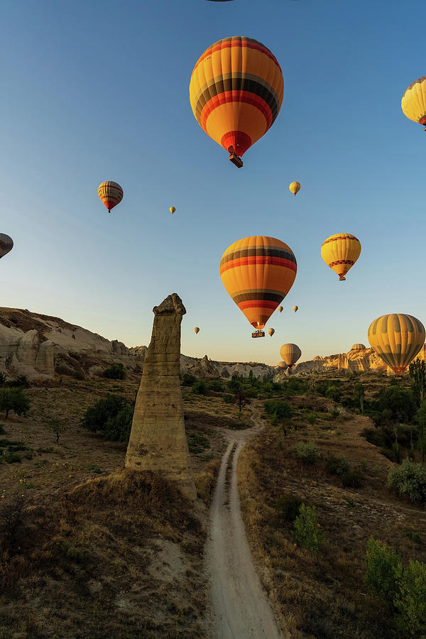 Vertical image of bunch of colorful hot air balloon flying early morning in Cappadocia, Turkey against typical rock formation due to volcanic activity in love valley located in Goreme national park Photograph by Arpan Bhatia