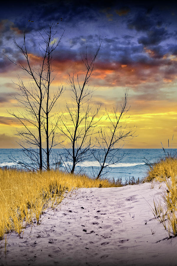 Vertical Photo of a Beach at Sunset on Lake Michigan Photograph by Randall Nyhof