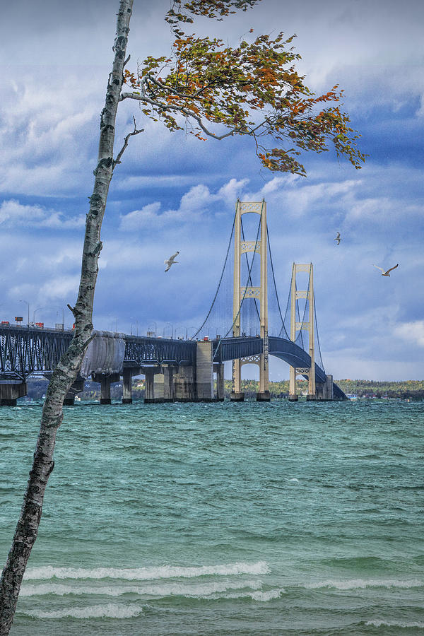 Vertical Photo of the Mackinac Bridge in Autu Photograph by Randall Nyhof