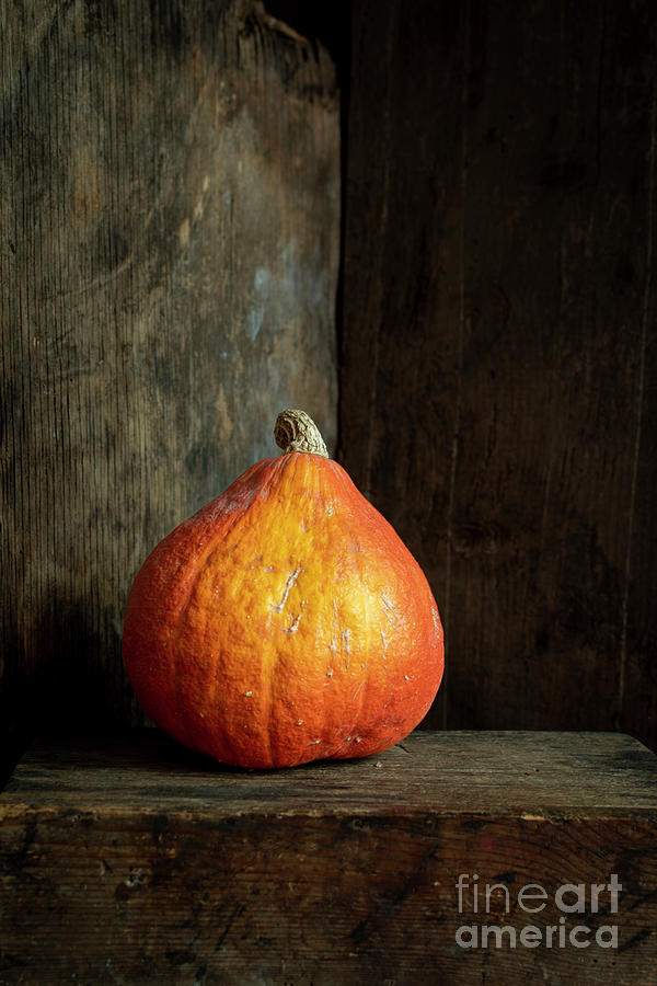 Pumpkin Photograph - Vertical shot of an orange dry pumpkin with an old wooden background by Bernard Jaubert