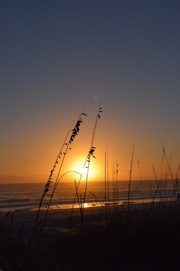 Vertical Sunrise w/ Sea oats Jacksonville Beach, Florida Photograph by Christey Merton Vertical Sunrise w/ Sea oats Jacksonville Beach, Florida Photograph by Christey Merton