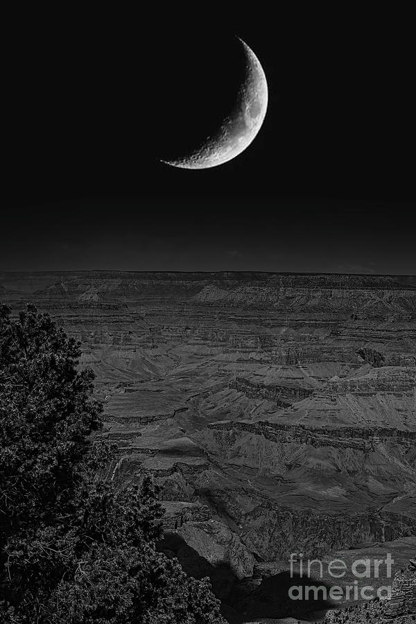 Vertical Super Moon Grand Canyon Black White   Photograph by Chuck Kuhn