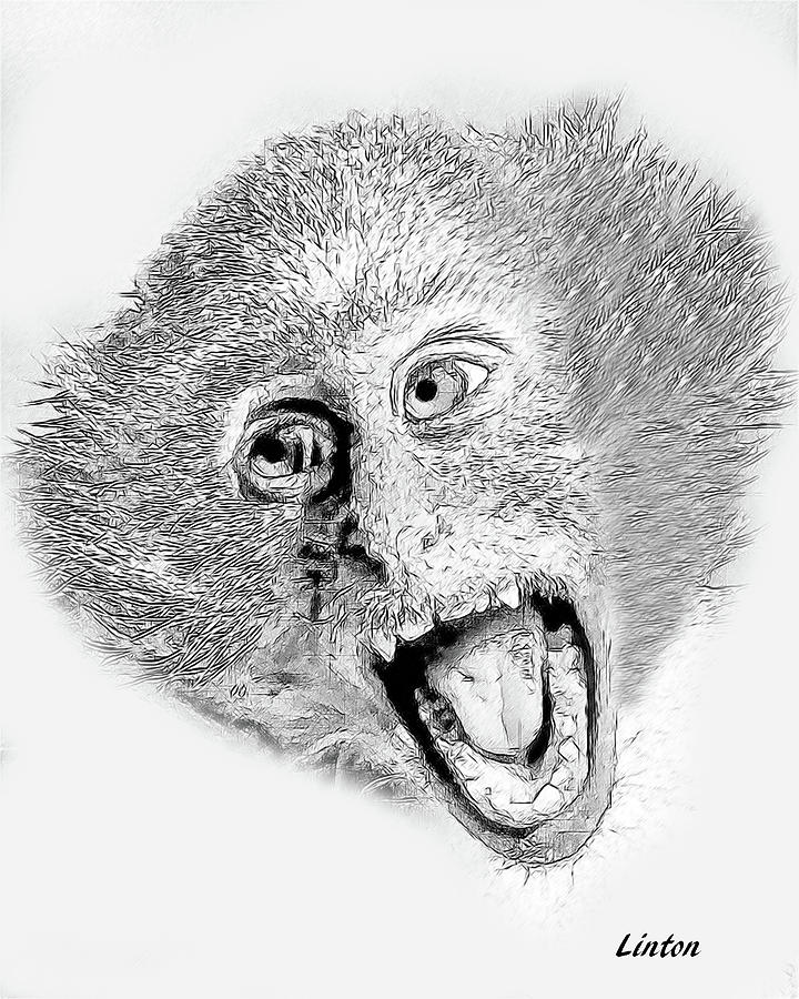 Vervet Monkey Digital Art by Larry Linton