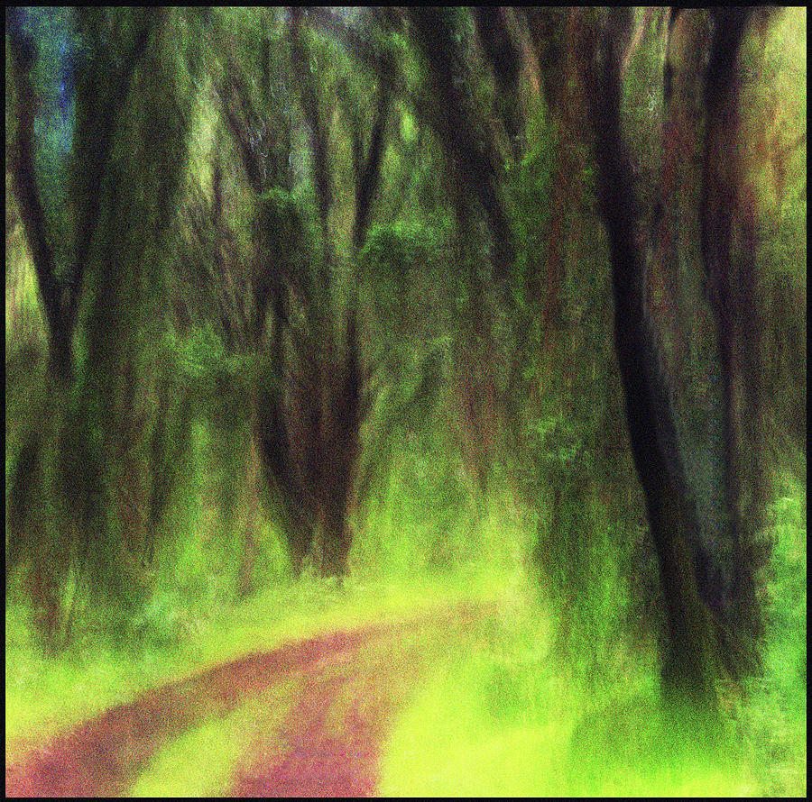 Forest Photograph - Verwunschener Wald by Angelika Vogel