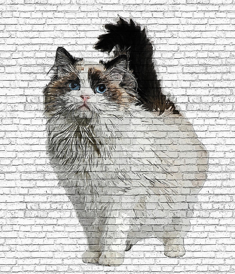 Very Beautiful Ragdoll Cat - Brick Block Background Painting by Custom Pet Portrait Art Studio