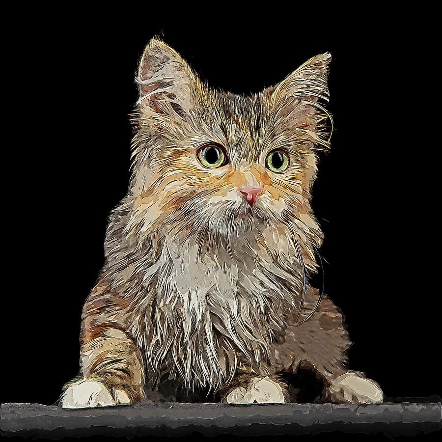 Very Beautiful Siberian Cat Kitten Painting by Custom Pet Portrait Art Studio