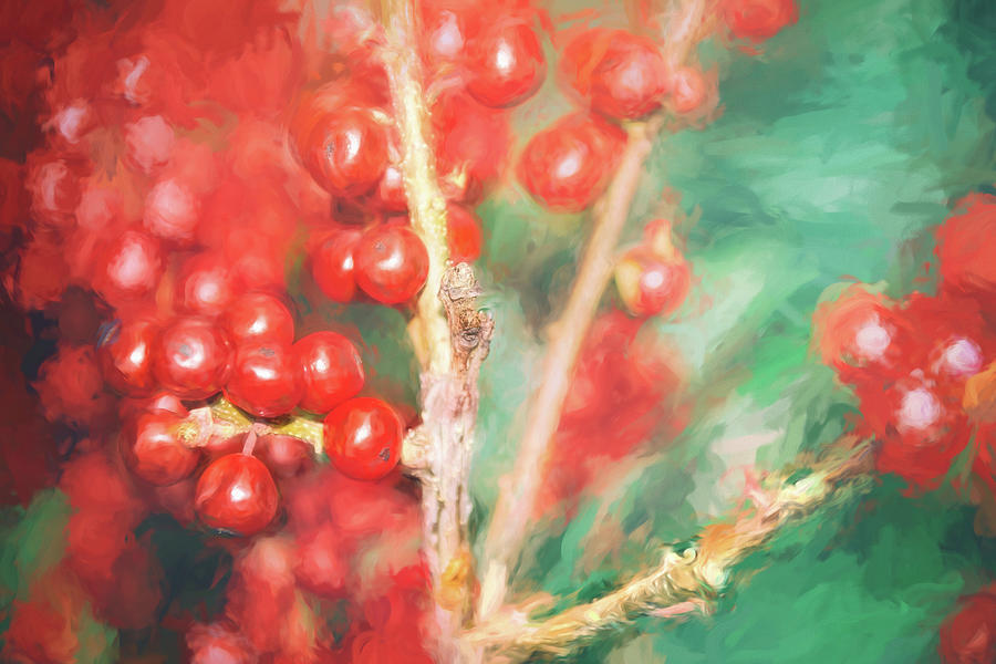Very Berry Red Painterly Photograph