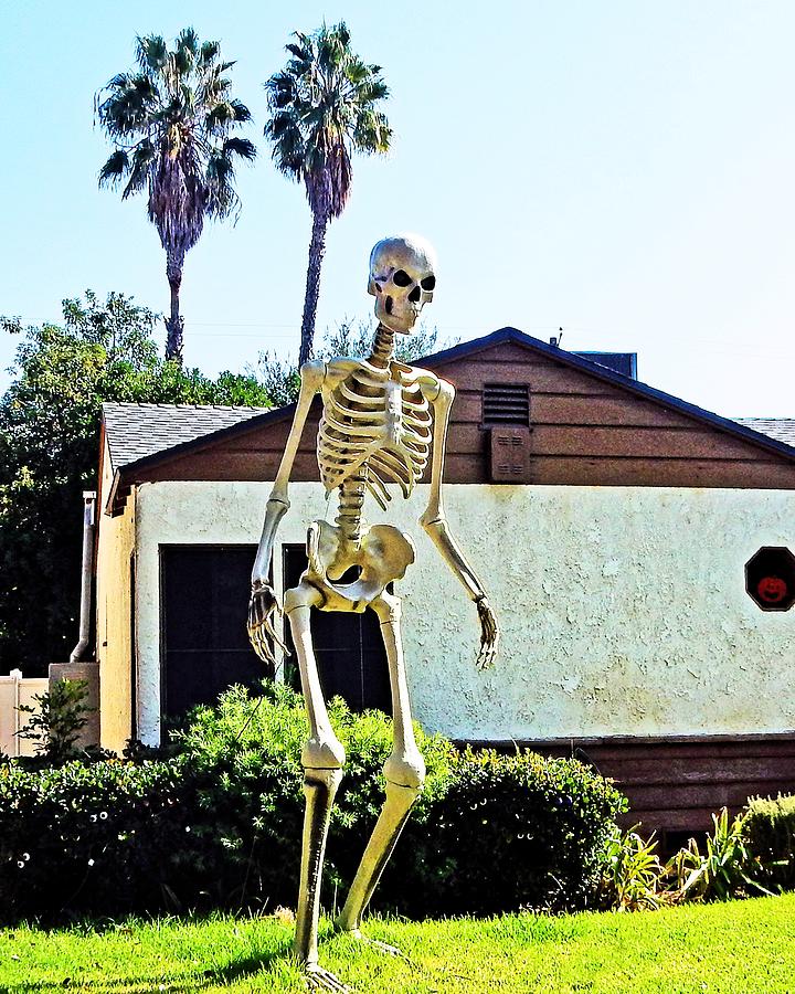 Very Tall Skeleton Photograph by Andrew Lawrence
