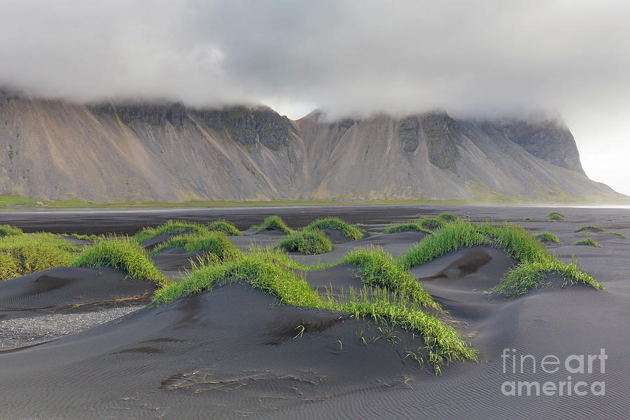 Vestrahorn at Stokksnes, Iceland Photograph by Arterra Picture Library