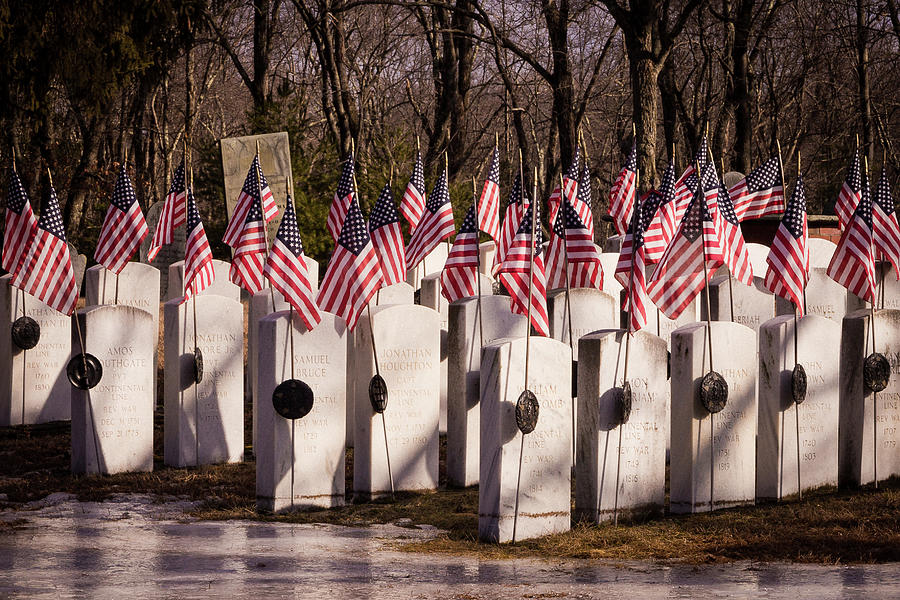 Veterans Day Tribute Photograph by Denise Kopko