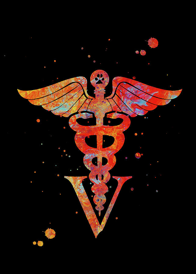 Veterinary Caduceus Watercolor Print Veterinary Clinic Medical Symbol ...