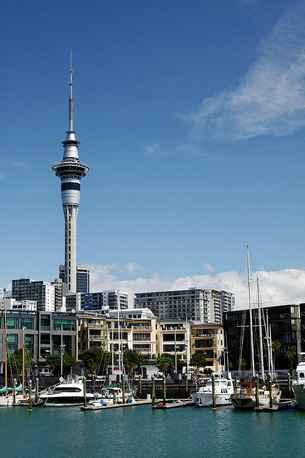 Viaduct Harbour Photograph by Sally Weigand - Fine Art America