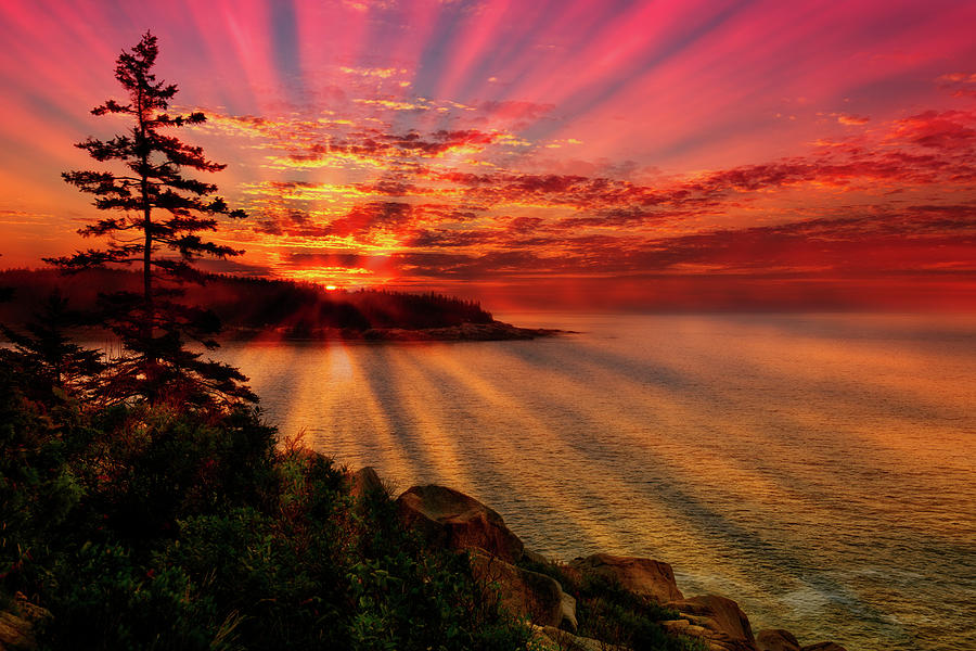 Vibrant Acadia Sunrise Photograph by Dennis Dame