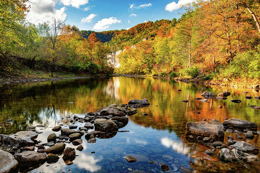 Vibrant Autumn Along The Buffalo National River And Roark Bluff Photograph by Gregory Ballos