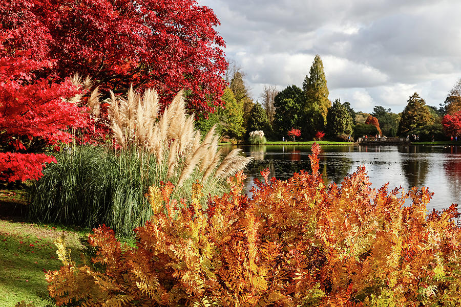 Vibrant autumn at Sheffield Park Photograph by Shirley Mitchell