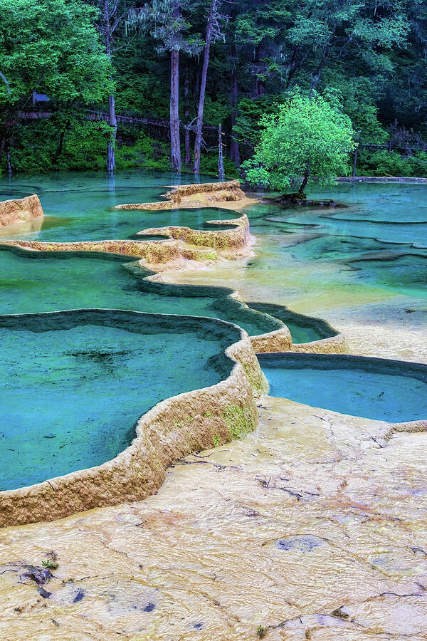 Vibrant Blue Terraced Pools in Huanglong National Park Photograph by Benoit Bruchez Vibrant Blue Terraced Pools in Huanglong National Park Photograph by Benoit Bruchez