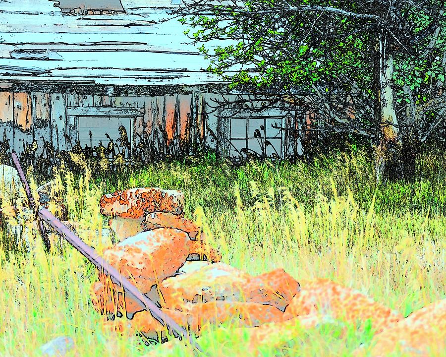 Vibrant Colors Pasture and Shed Photograph by Jerry Sodorff
