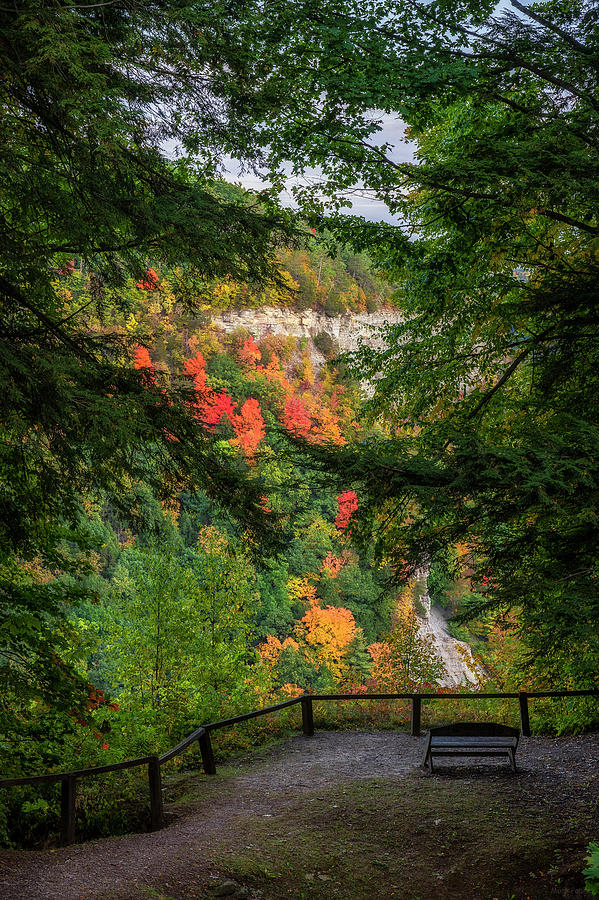 Vibrant Early Fall At Letchworth State Park Photograph by Mark Papke