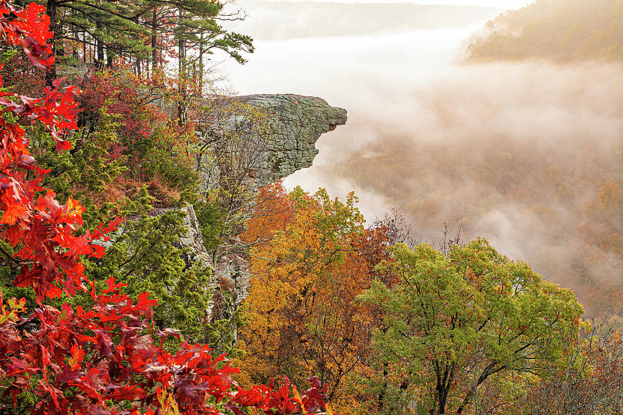 Landmark Photograph - Vibrant Fall Color At Hawksbill Crag - Ozark National Forest by Gregory Ballos
