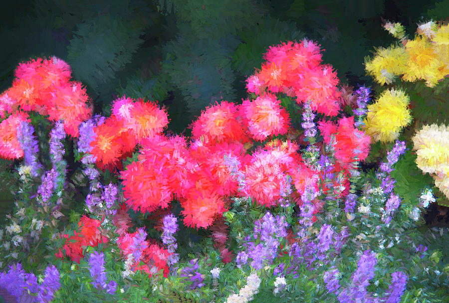 Vibrant Flowers on Display Photograph by Gordon Ripley