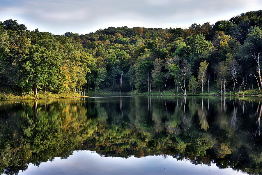 Reflection Photograph - Vibrant Forest Reflection at Kentucky Lake by Christopher Hignite