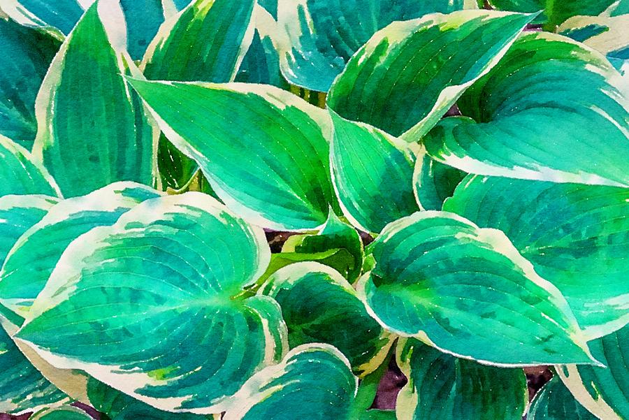 Green Leaves Watercolor Mixed Media by Susan Rydberg