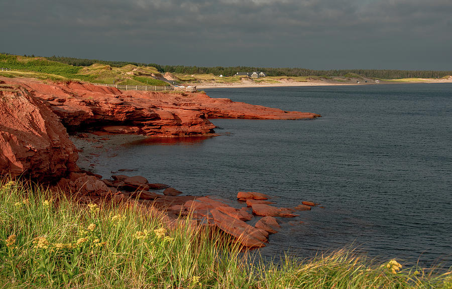 Vibrant North Shore of Canadas Prince Edward Island Photograph by Marcy Wielfaert
