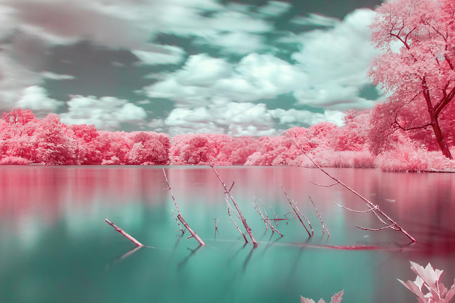 Vibrant Pink Fantasy Landscape Photograph by Auden Johnson