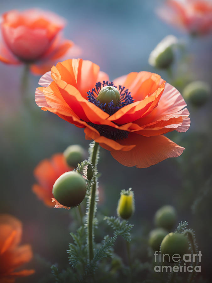 Vibrant Poppy Flower Digital Art by Michelle Meenawong