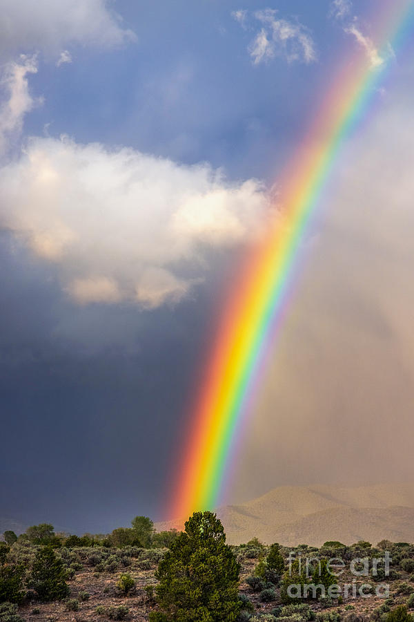 Vibrant Rainbow May 2021 Photograph by Elijah Rael