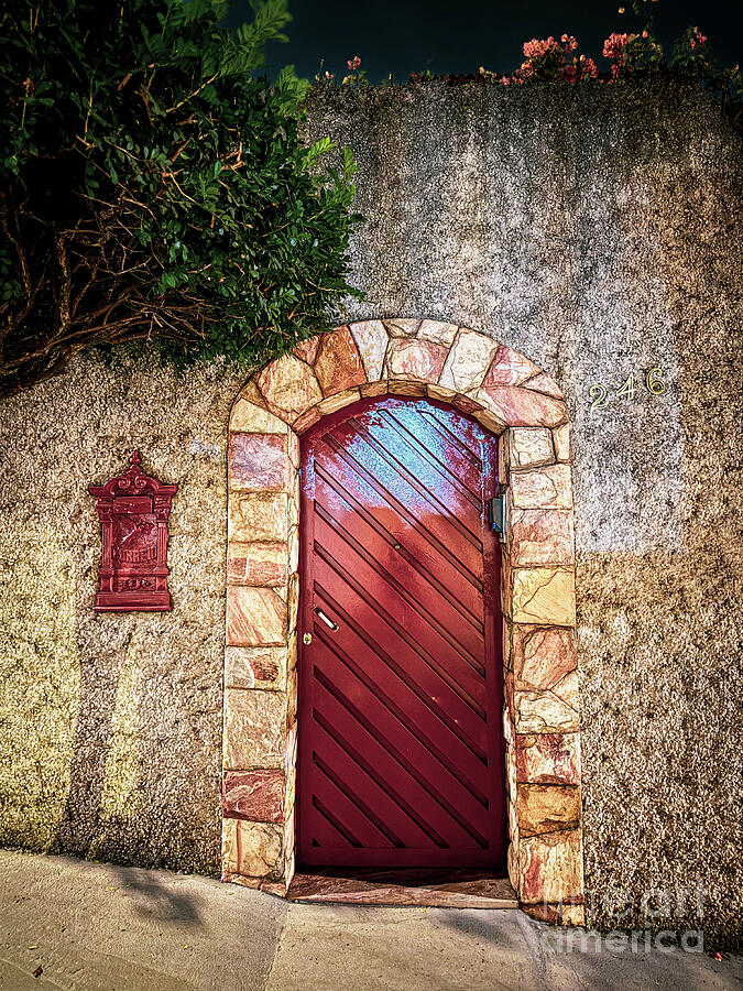 Vibrant Red Door with Stone Arch Photograph by Leslie Brashear