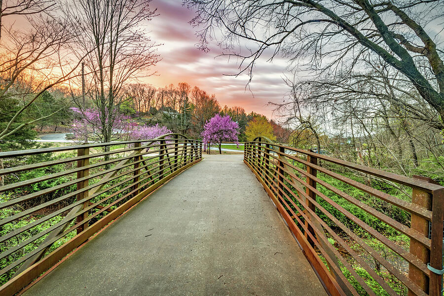 Vibrant Spring Sunset Along The Bentonville Trails Photograph by Gregory Ballos Vibrant Spring Sunset Along The Bentonville Trails Photograph by Gregory Ballos