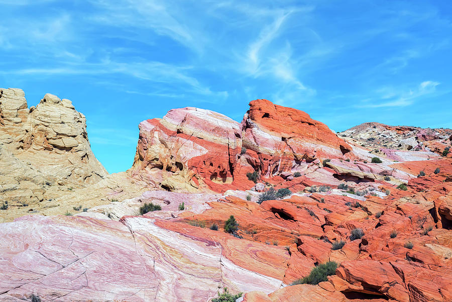 Vibrant Striped Rock Valley of Fire Photograph by Joseph S Giacalone