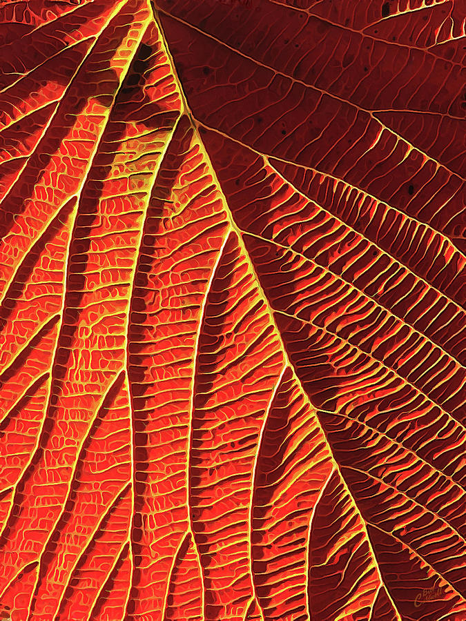 Nature Digital Art - Vibrant Viburnum by ABeautifulSky Photography by Bill Caldwell