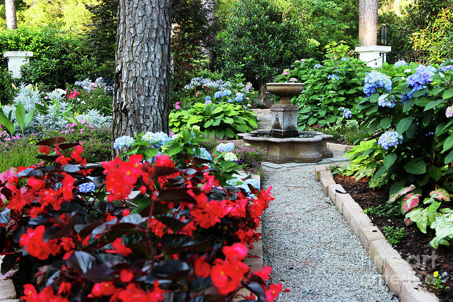 Vibrantly Down the Garden Path Photograph by Rick Locke - Out of the Corner of My Eye
