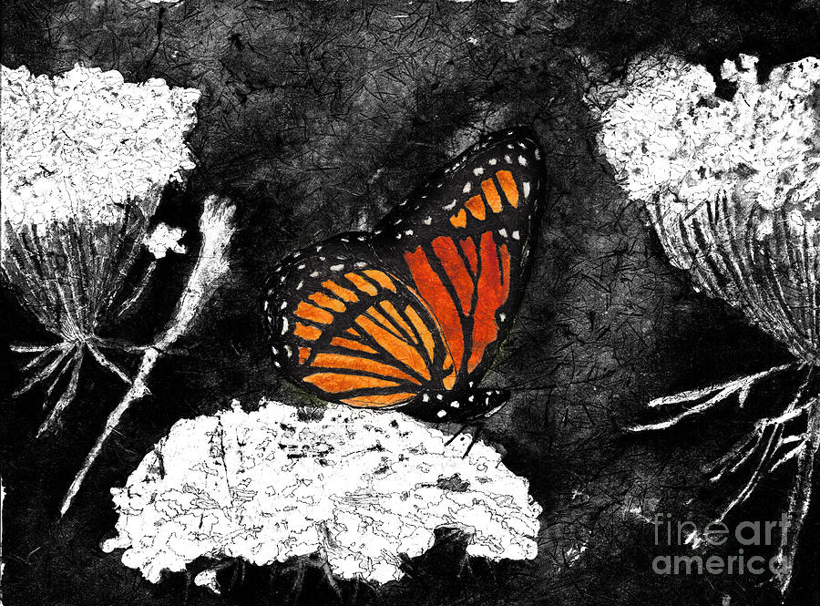 Viceroy Butterfly in Selective Color from Watercolor Batik Digital Art by Conni Schaftenaar