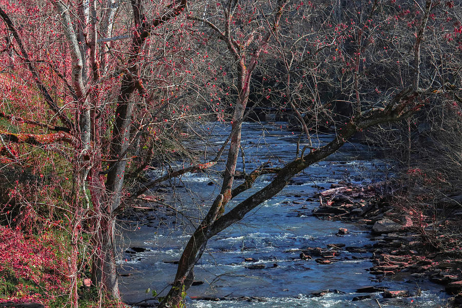 Vickery Creek Through The Trees Photograph by Ed Williams