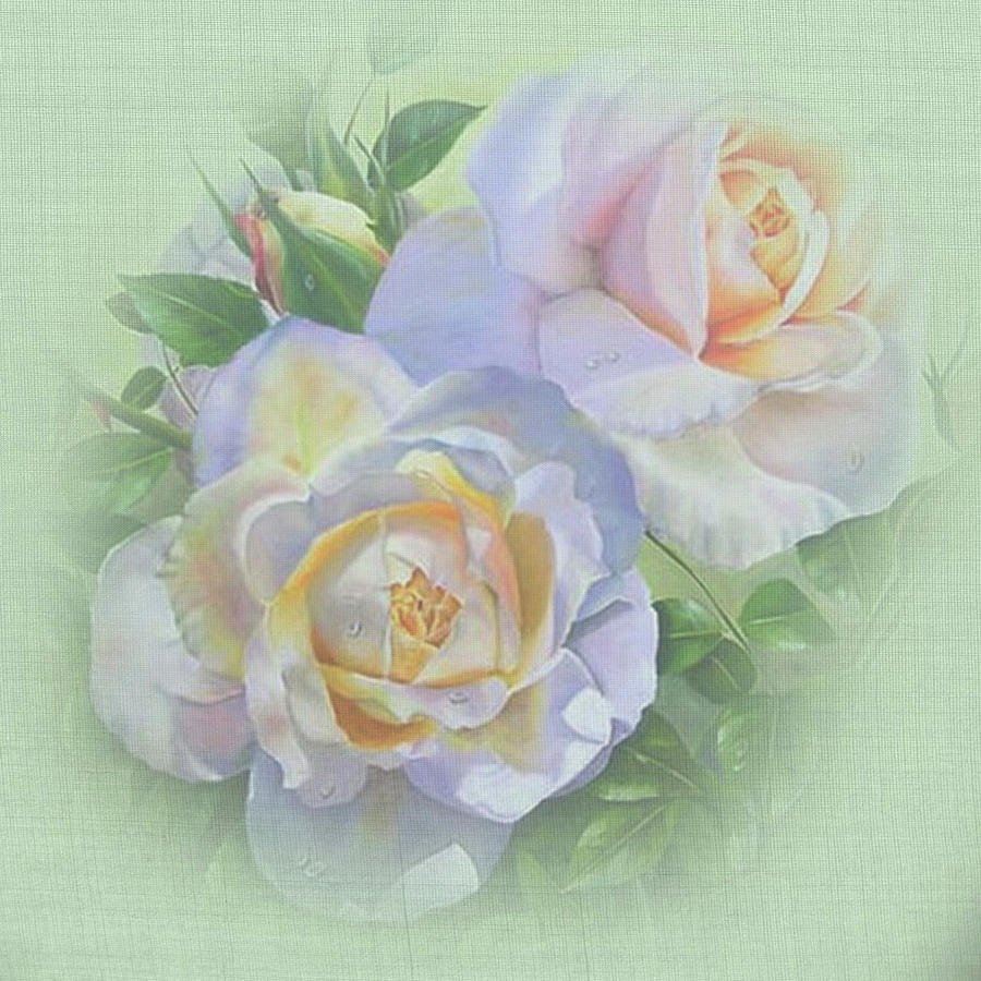 Vicorian Roses Neck Gator Two White Roses Digital Art by Stacy ...