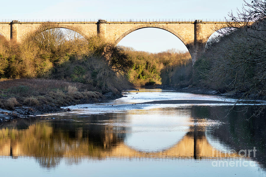 Victoria Viaduct Photograph by Bryan Attewell