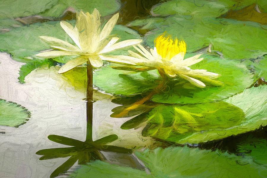 Victoria Water Lilies Oil Pastel Photograph by Susan Rydberg