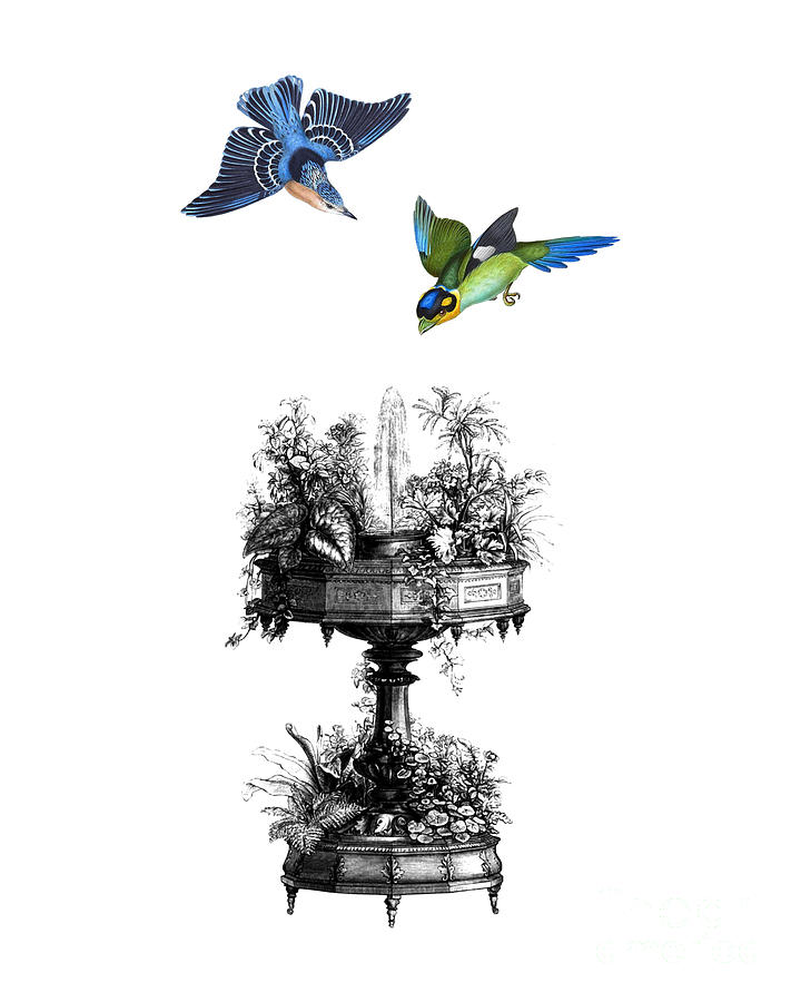 Bird Digital Art - Victorian Birds by Madame Memento