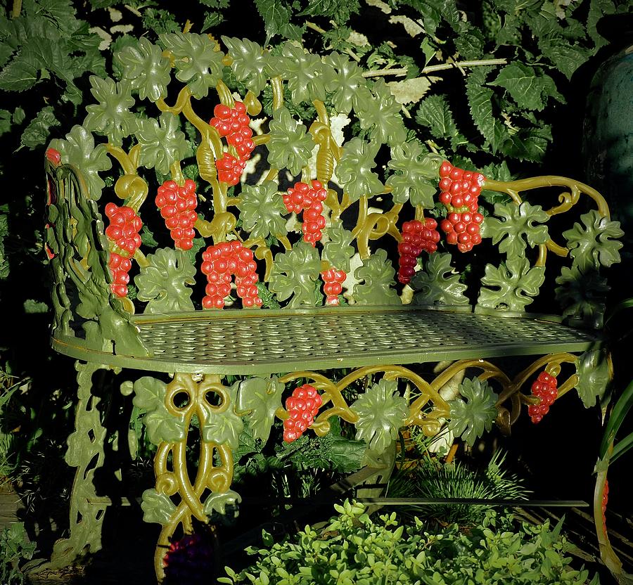 Victorian Grape And Leaf Bench Photograph by Alida M Haslett