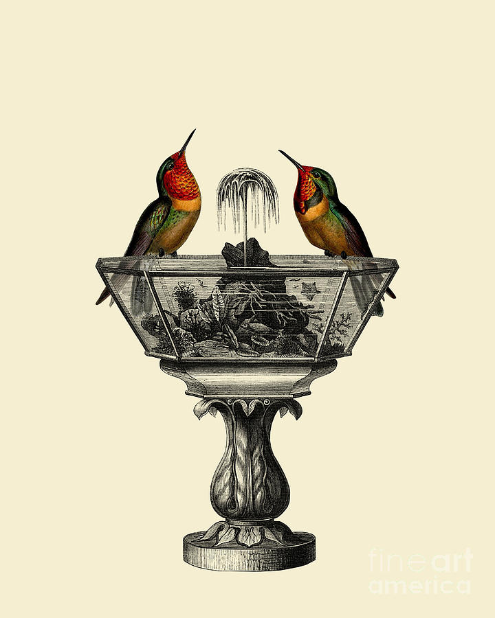 Hummingbird Digital Art - Victorian hummingbirds by Madame Memento