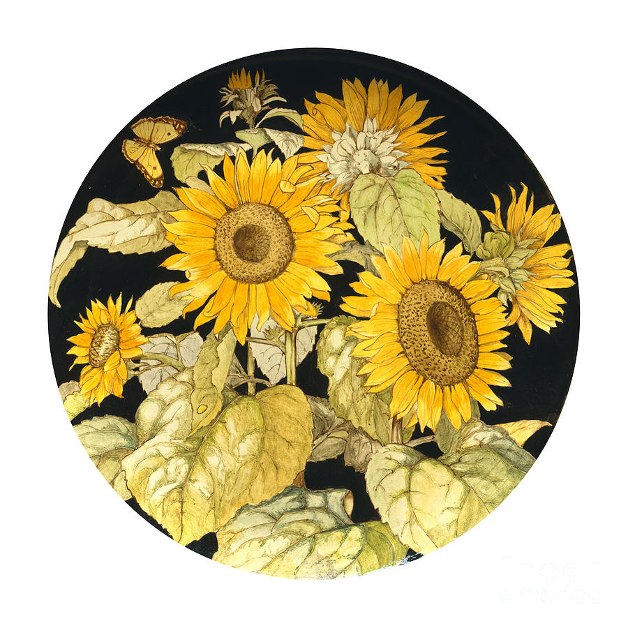 French Victorian Sunflowers and Yellow Biutterfly Painting by F Gadesden