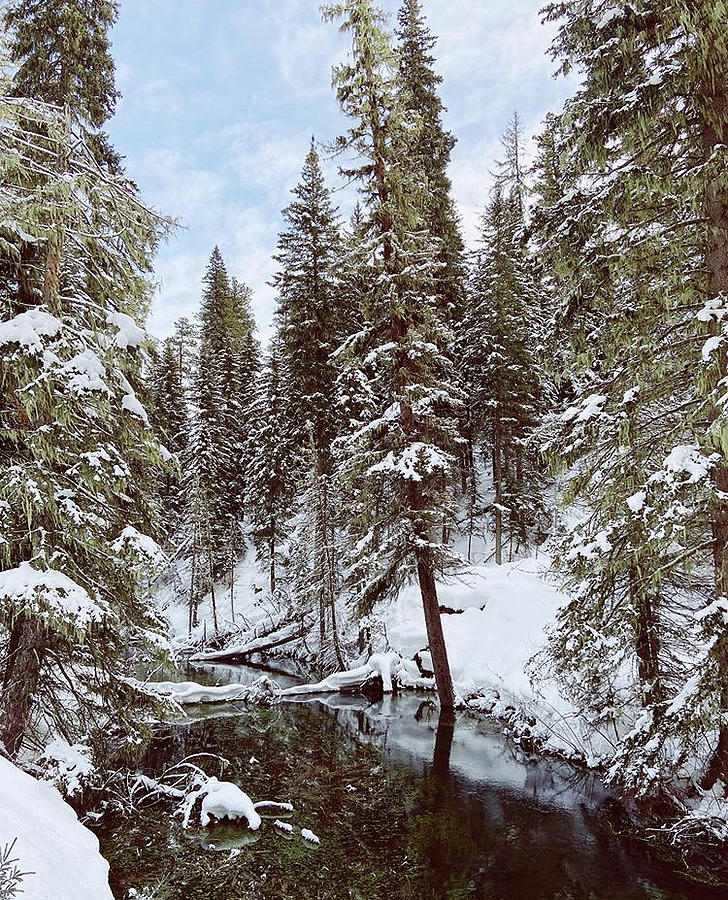 Victorian Winter Photograph by Robyn Hynes - Fine Art America