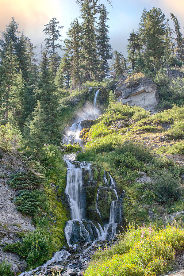 Trees Photograph - Vidae Falls by John Heywood Trees Photograph - Vidae Falls by John Heywood