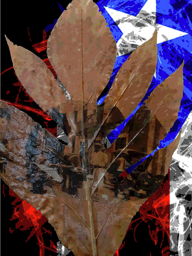 Viejo San Juan No.2 Digital Art by Carlos Laster Viejo San Juan No.2 Digital Art by Carlos Laster