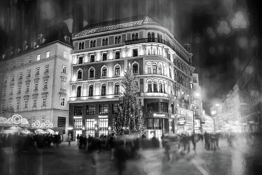 Vienna Austria By Night Black and White  Photograph by Carol Japp