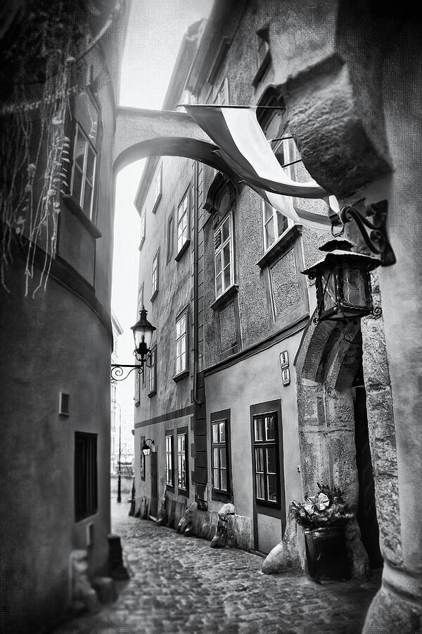 Vienna Austria Historic Streets Black and White  Photograph by Carol Japp