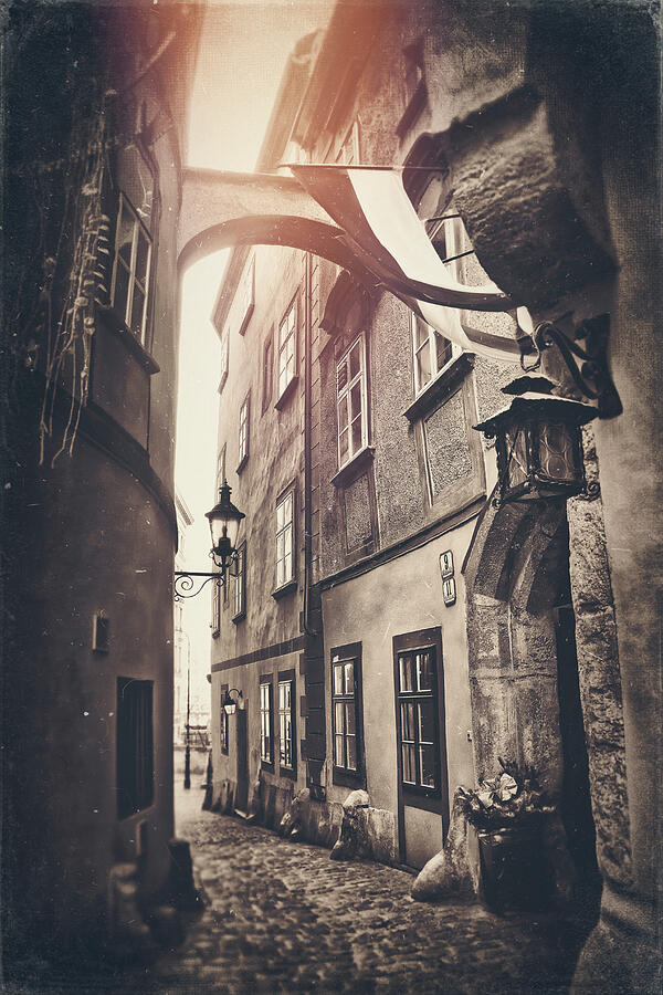 Vienna Austria Historic Streets Vintage Sepia  Photograph by Carol Japp